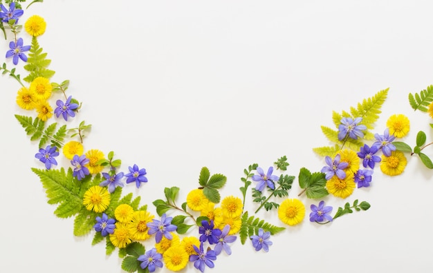 Spring yellow and violet flowers on paper background