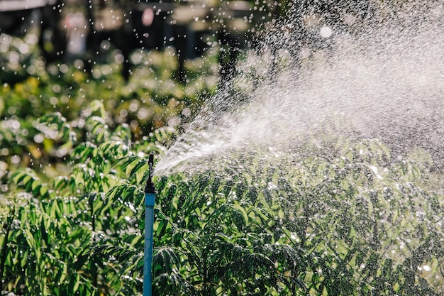 Foto springer die de bomen in de tuin water geeft