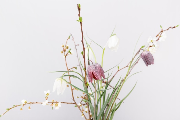 Springtime background with cherry blossom twigs flowers fritillaria grouse chess spring bouquet on white Spring concept