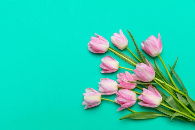 Springtime easter Pink tulips on green background top view copy space