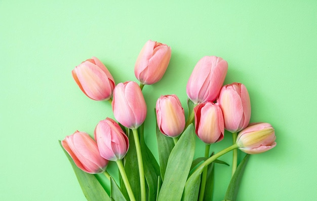 Springtime easter Pink tulips on green background top view