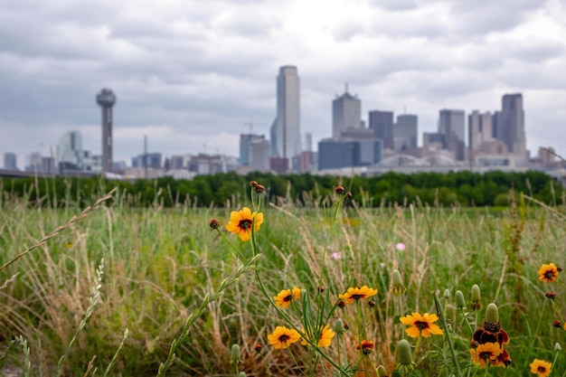 Springtime Serenity 4K beeld van Dallas Texas gezien vanaf de rustige Trinity River