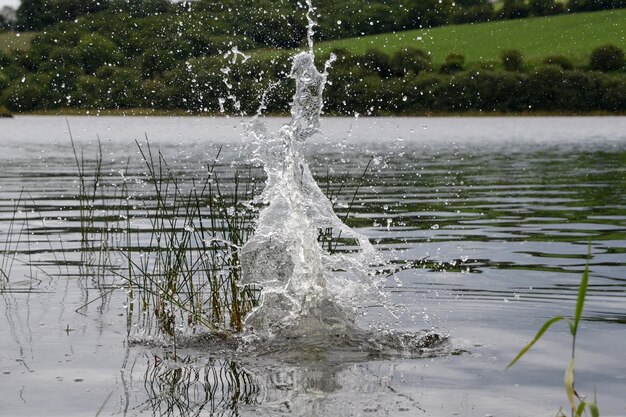 Sprinkelend water in het meer