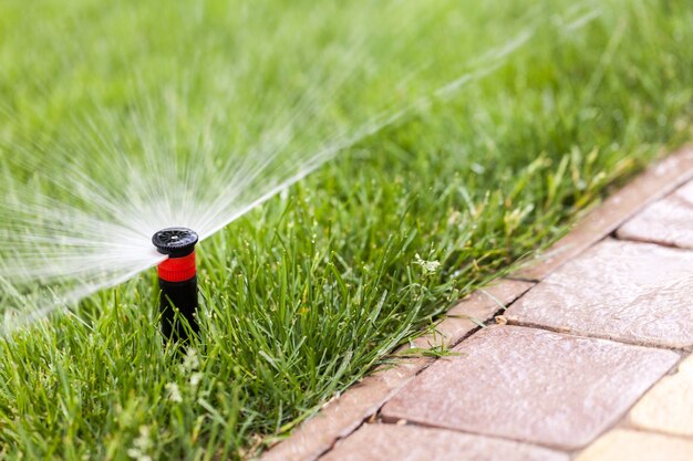 Sprinkler grass landscape lawn sidewalk suburb abstract