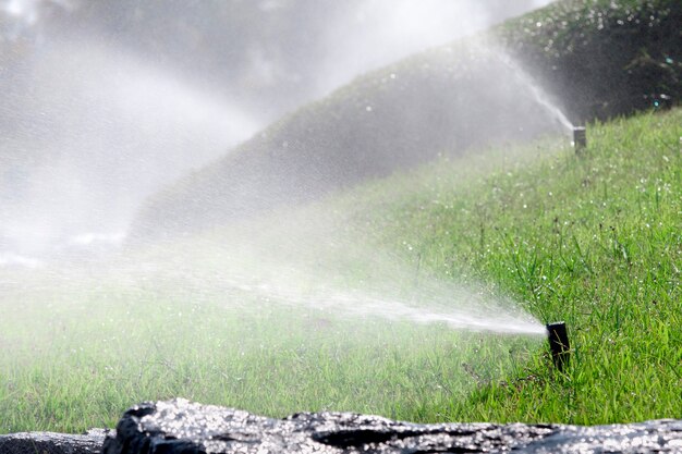 Sprinkler head watering the bush and grass