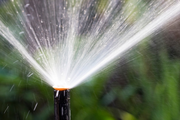 Sprinkler head watering the flowers and grass