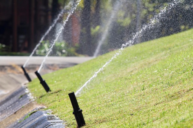 Sprinkler head watering in park.