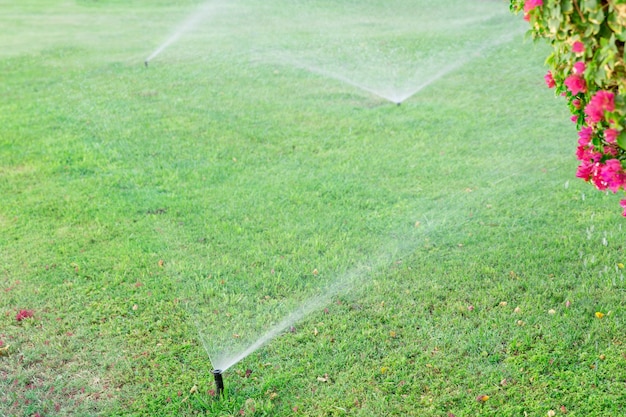 写真 芝生に水をまく庭のスプリンクラー自動水やり芝生の概念