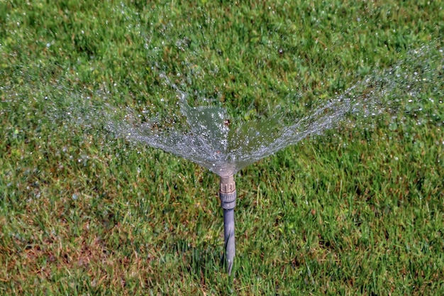 Sprinkler irrigation of green grass on a sunny summer day