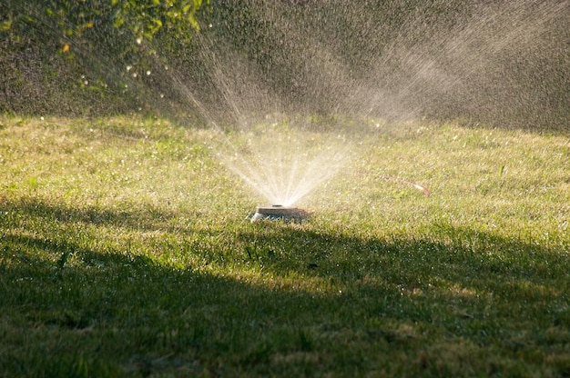 Sprinkler kop