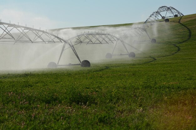 Sprinkler op grasveld tegen de lucht