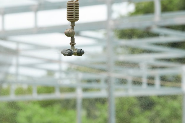 Photo sprinkler spraying water in greenhouse