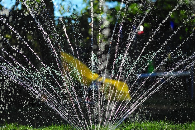 Фото Спринклер распыляет воду в саду