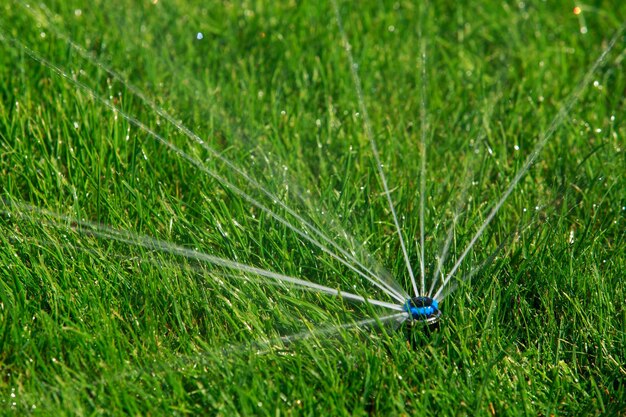 Photo sprinkler spraying water