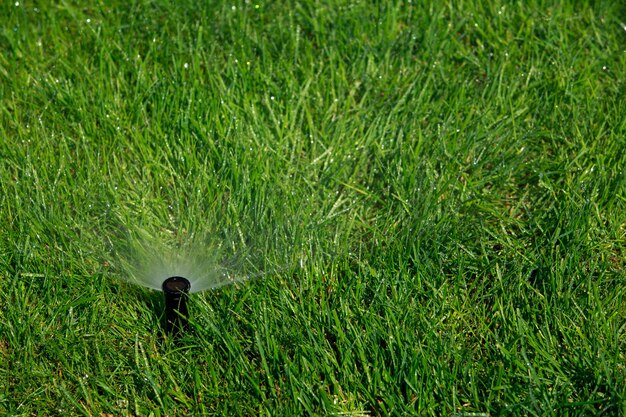 Photo sprinkler spraying water