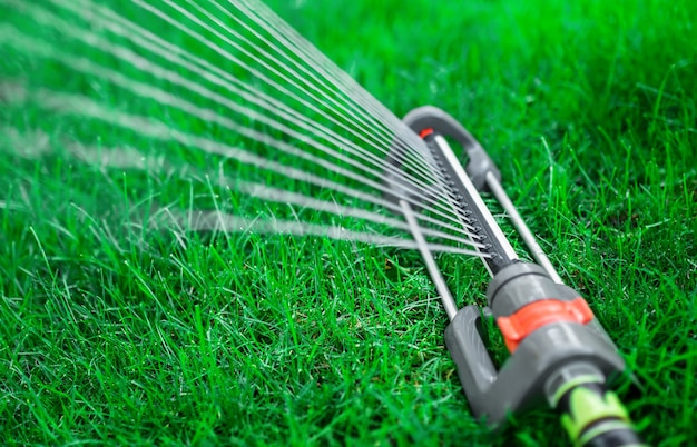 Sprinkler watering the garden