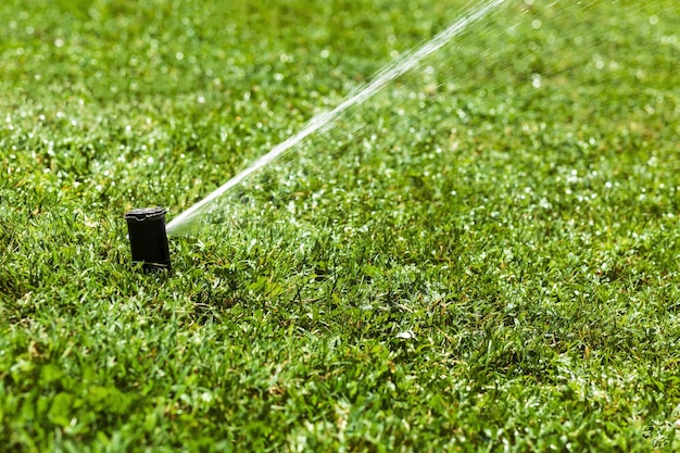 Photo sprinkler watering grass sprinkler irrigation system in garden