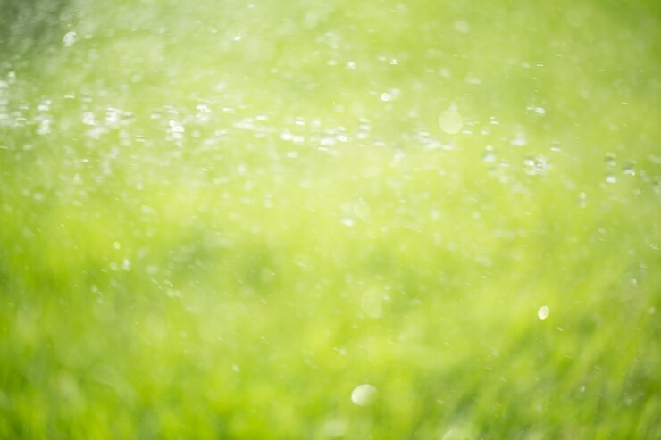 Photo スプリンクラー散水芝生、抽象的なぼかし緑の草。