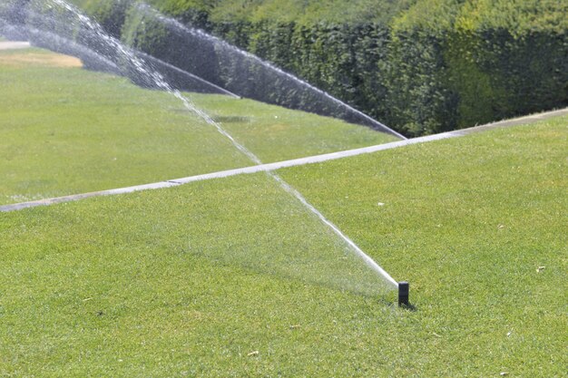 Sprinkler watering the lawn in a park 