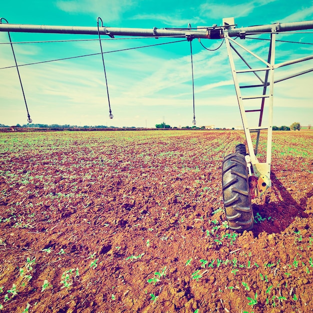 Foto sprinkler