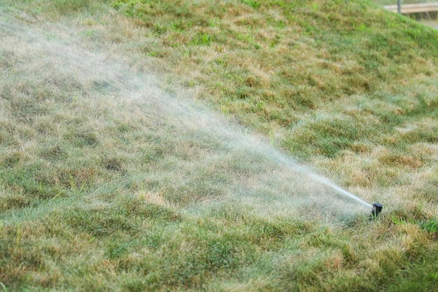 Sprinklers voeden weelderig gras, een metafoor voor groeivernieuwing en de verzorgende omhelzing van de natuur