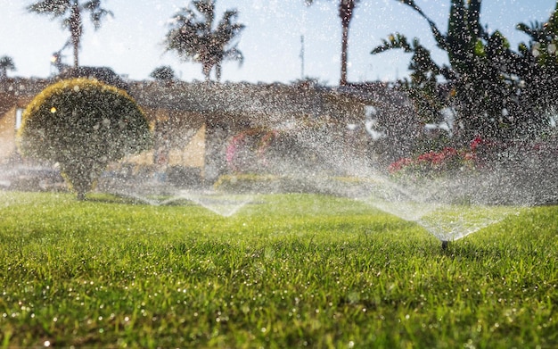 Photo sprinklers watering green grass on the lawn