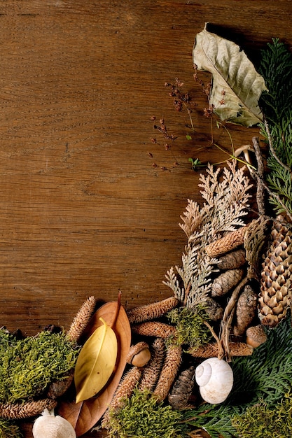 Sprookje ambiance magische herfst bos achtergrond