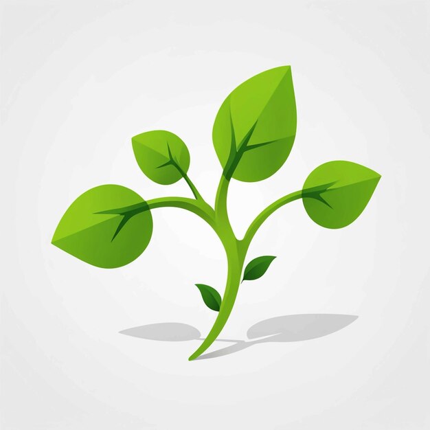 Photo sprout vector 3d illustration