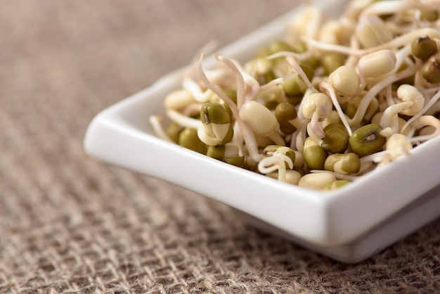 発芽豆ニュートラルな背景白いプレート健康食品の調理