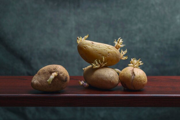 Sprouted potatoes on a wooden shelf on a green background