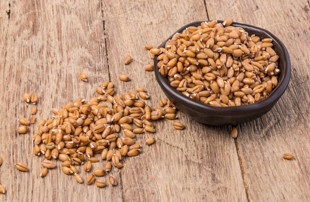 Sprouted wheat germ in a bowl over rustic wooden