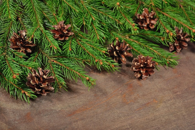 Spruce branch and cones on a wooden background