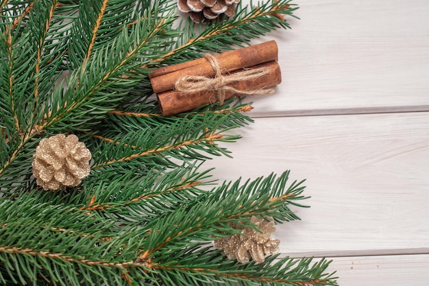 Spruce branch on a white background. Christmas background.