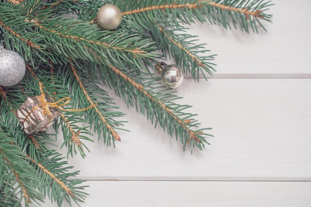 Spruce branch on a white background. Christmas background.