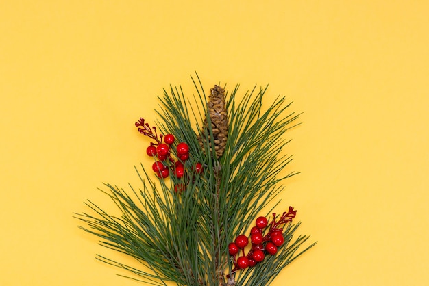 Spruce branches on a light beige background. Copy space. Merry Christmas