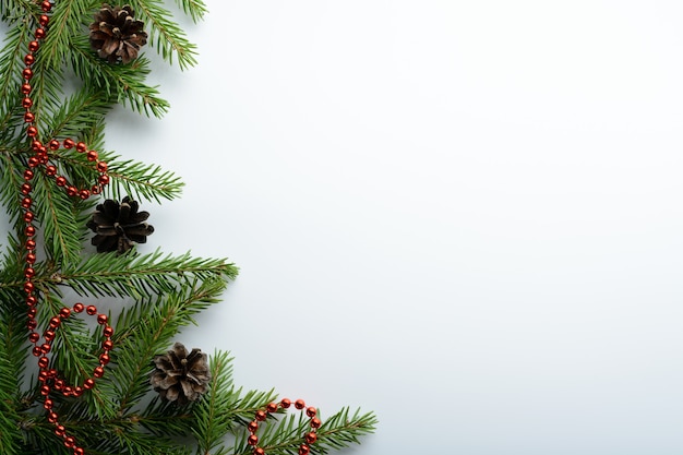 Spruce branches and red beads on a white background