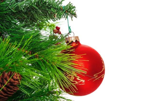 Spruce branches with red baubles against white background