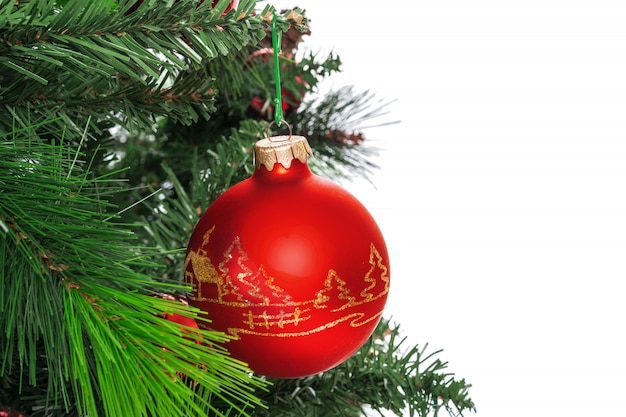 Spruce branches with red baubles against white background