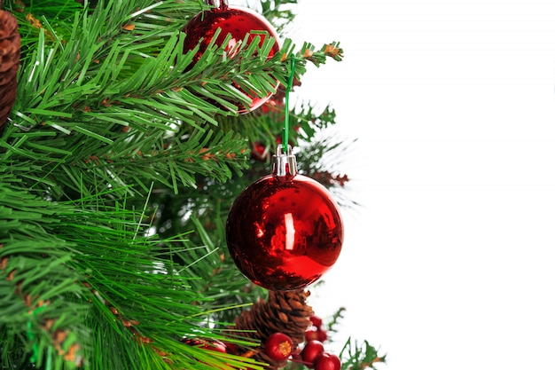 Spruce branches with red baubles against white background