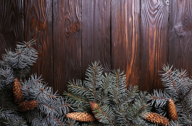 Photo spruce branches on a wooden background