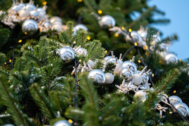 Spruce covered with snow Christmas ball on spruce branch outdoor closeup