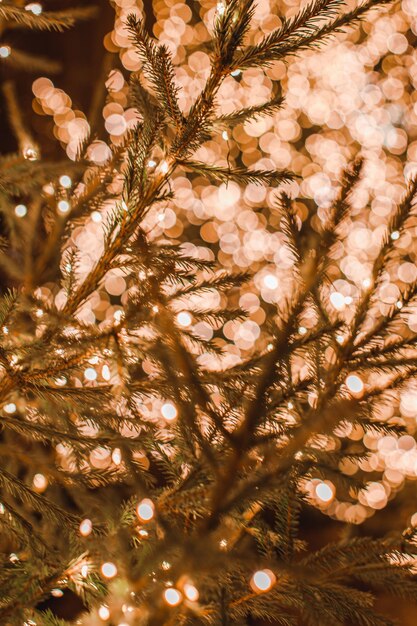 Photo spruce green branches of live christmas tree on a background of golden christmas bokeh lights