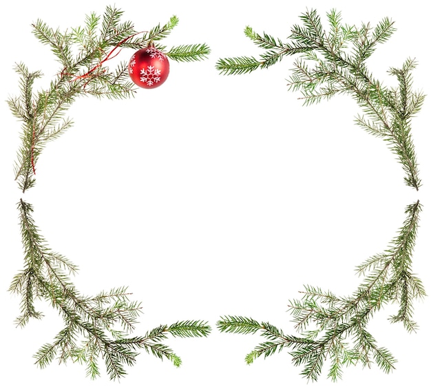 Spruce tree branches with red ball on white