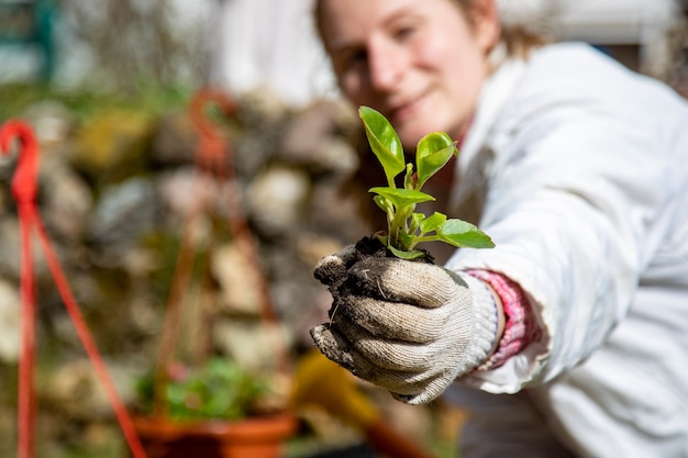 Spruit in tuinmannen hand in handschoenen zonnige dag