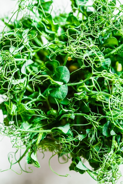 Foto spruiten van groene erwten in een pot op grijze achtergrond