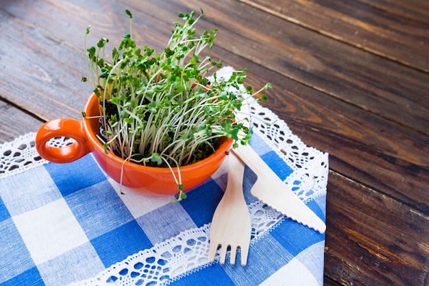 Spruitjes van mini groen in oranje beker en bamboe biologisch afbreekbare vork en mes gemaakt van natuurlijk eco recycle herbruikbaar materiaal