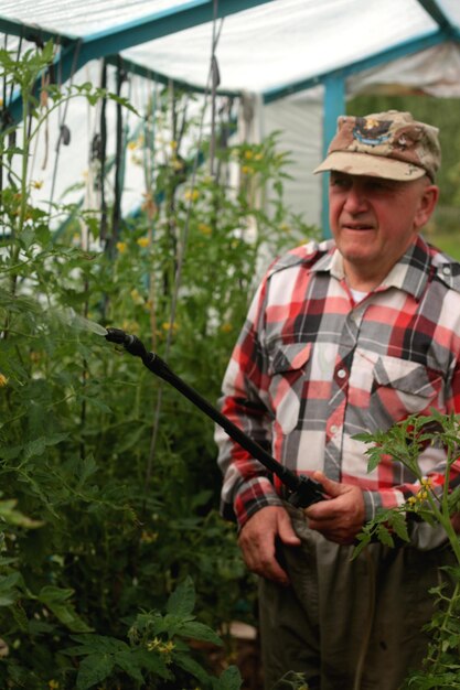 Spuit tomaten tegen ongedierte