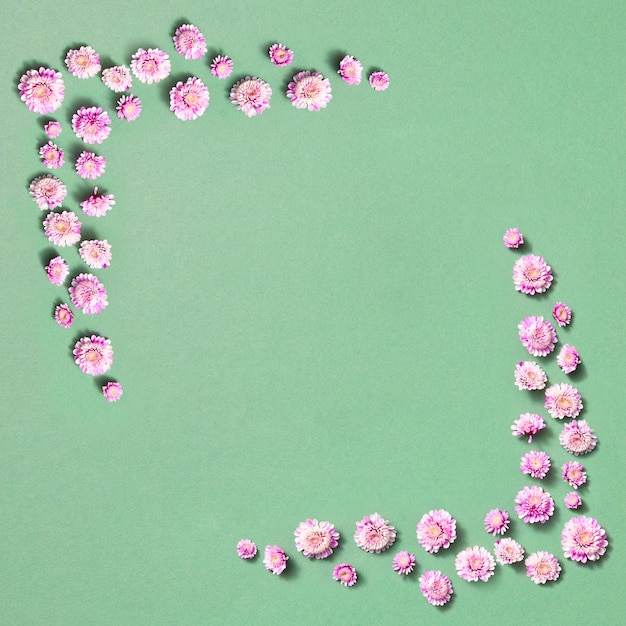 Foto cornice quadrata di fiori in fiore per congratulazioni