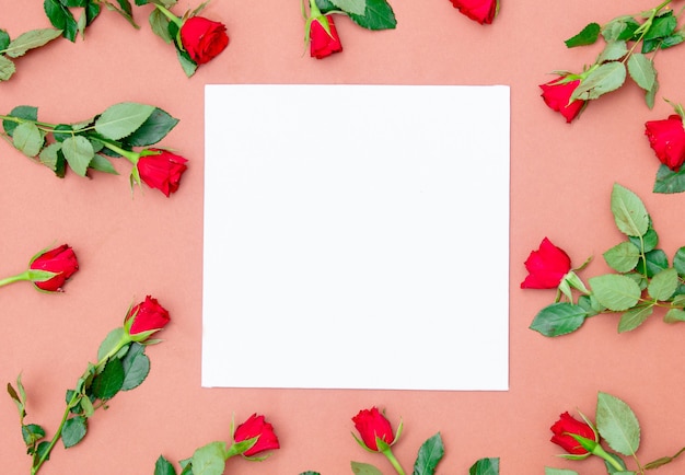 Square cardboard and red roses around on pink.