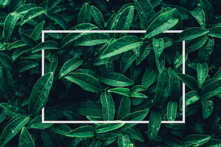 Photo square frame creative layout made of tropical flowers and leaves with paper card note flat lay